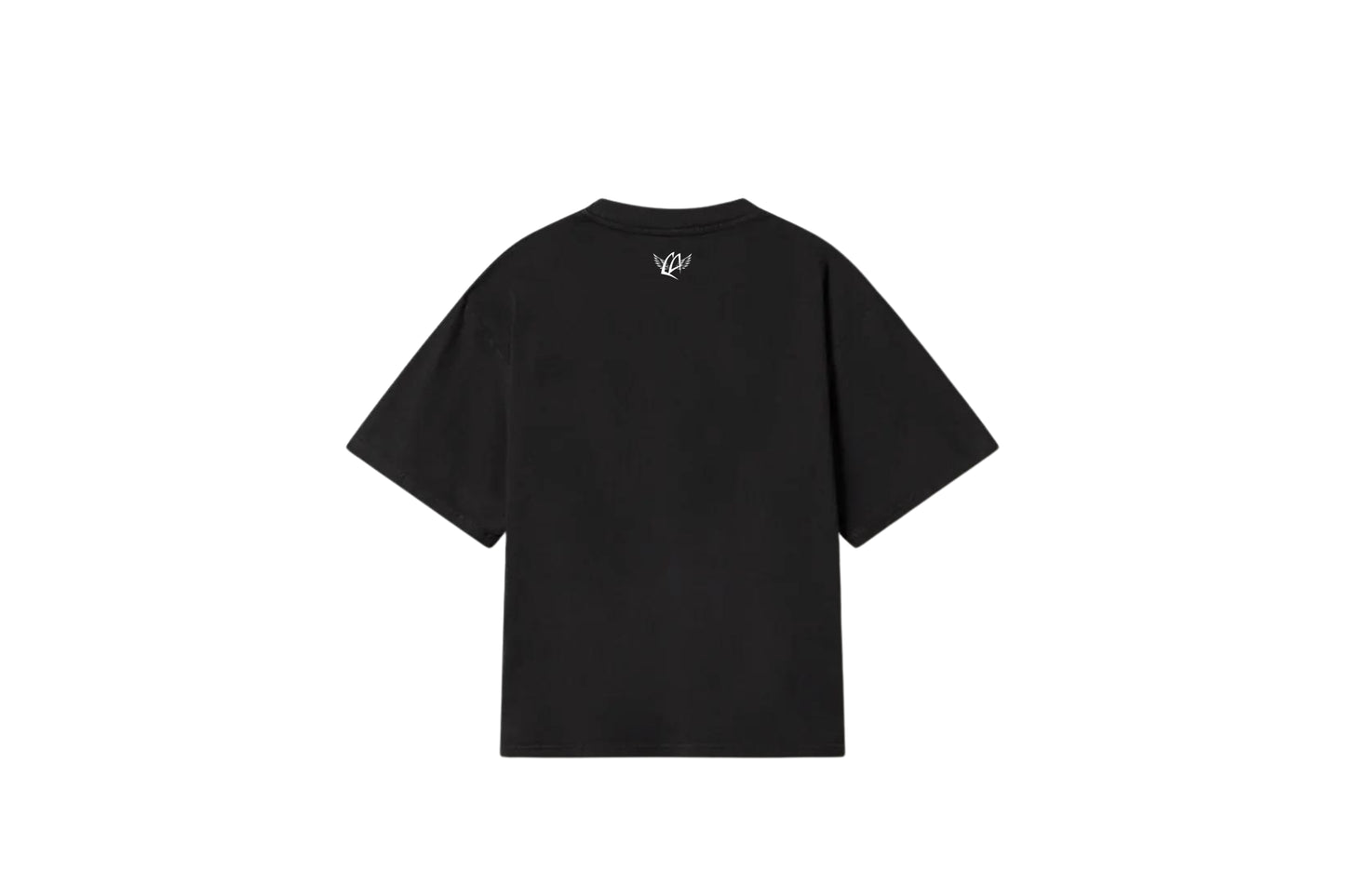 Oversized T-shirt RESISTENCIA FINAL